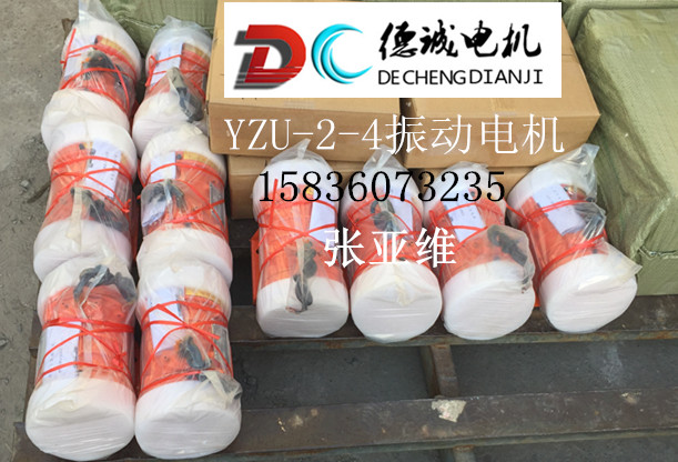 YZU-2-4振動電機發(fā)貨圖片_副本.jpg YZU-2-4振動電機發(fā)貨圖片_副本.jpg
