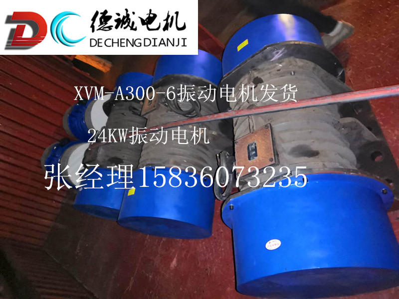 XVM-A300-6C振動(dòng)電機(jī).jpg XVM-A300-6C振動(dòng)電機(jī).jpg